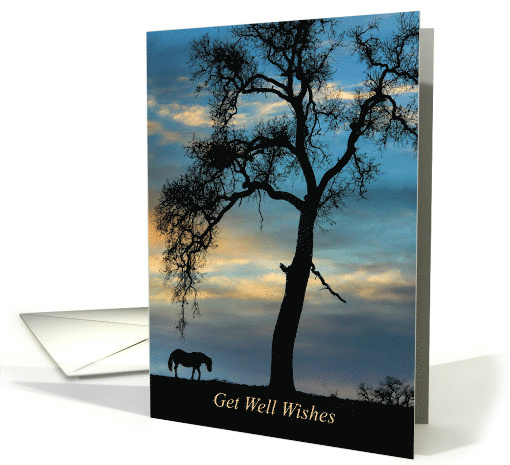 Get Well Horse and Oak Tree Nature card (1632534)