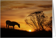 Sympathy Horse and Sunset, Southwestern Condolences card