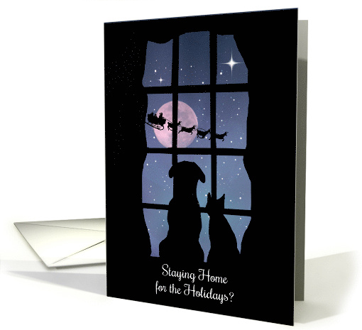 Holiday Pandemic Corona Virus Sheltering at Home Cute Cat and Dog card