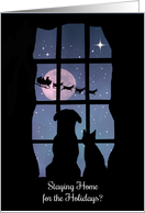Holiday Pandemic Corona Virus Sheltering at Home Cute Cat and Dog card