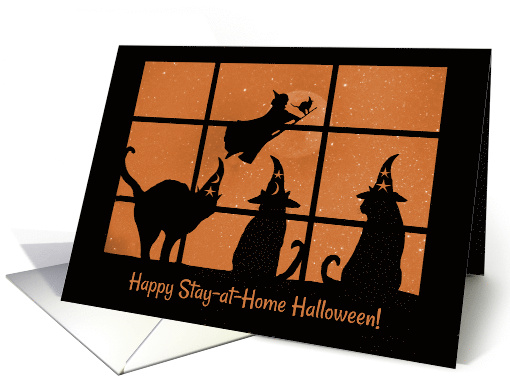 Happy Halloween Coivd Shelter At Home Cute with Cats and Witch card