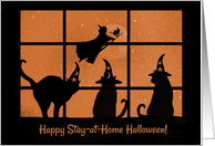 Happy Halloween Coivd Shelter At Home Cute with Cats and Witch card