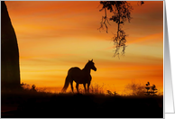 Thinking of You Horse Oak Tree and Southwestern Sunrise card