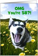 Cute Husky Happy 58th Birthday Custom Cover card