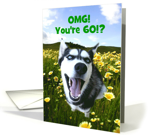 Cute Happy 60th You Look Good Dog in Flowers Customizeable card