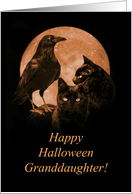 Happy Halloween Granddaughter with Black Cats and Raven and Moon card