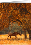 Pretty Autumn Greetings Horse and Oak Tree Beautiful Fall Foliage card