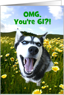 Happy 61st Birthday Cute Husky Dog Funny Custom card