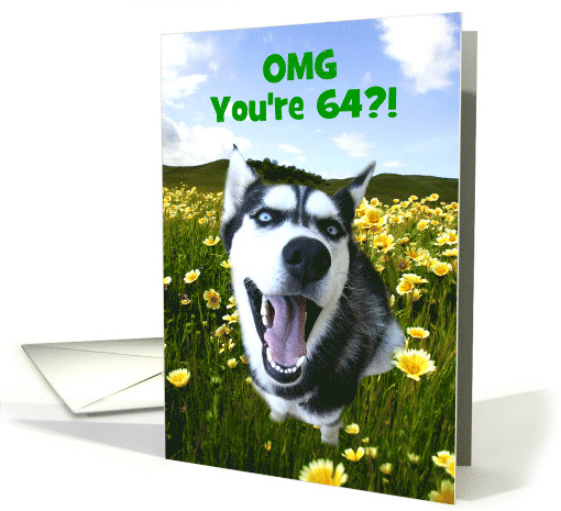 Happy 64th Birthday Cute Husky Funny Message Customizable card