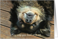 Funny and Nice Happy 66th Birthday Upside Dog Customizeable card
