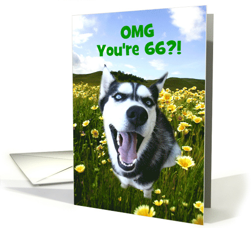 Happy 66th Birthday Cute Husky Dog and Flowers Customize card