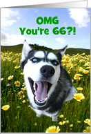 Happy 66th Birthday Cute Husky Dog and Flowers Customize card