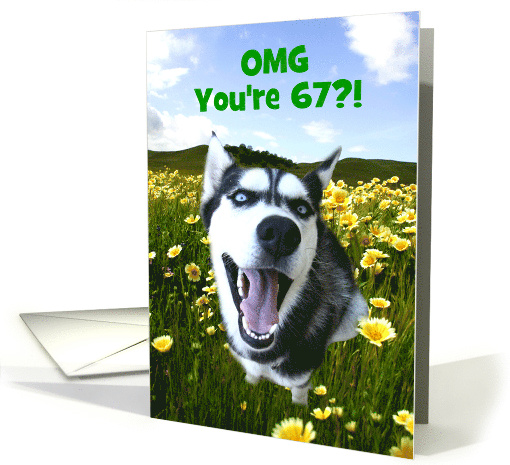 Cute And Funny Husky Customizable Happy 67th Birthday card (1644318)