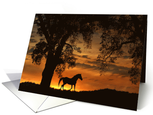 Horse Oak Tree and Sunrise Beautiful Blank Nature card (1644600)