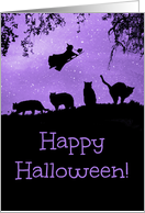 Witch with Cats Happy Halloween card