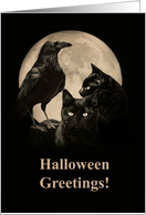 Black Cats and Raven General Halloween Greetings card