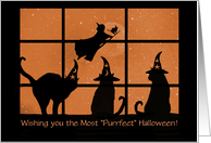 Cute Cats and Witch From Our House to Yours Happy Halloween Custom card