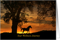 Beautiful Get Well, Feel Better Horse and Nature Wellness Journey card