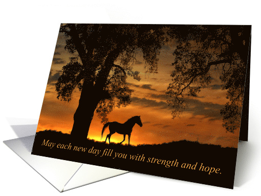 Beautiful Get Well Feel Better For Cancer Patient card (1644630)