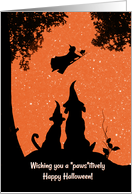Cute Dog and Cat with Witch Happy Halloween card