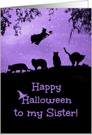 Cats and Witch...