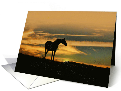 Horse in the Sunrise Thinking of You Nature card (1648452)