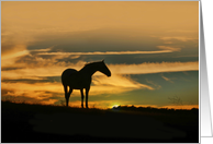 Horse in the Sunrise Thinking of You Nature card