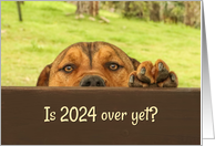 New Year 2025 Funny Is 2024 Over Yet Dog Looking Over Fence Cautious card