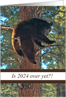 Funny Bear in Tree Is 2024 Over Yet Happy New Year 2025 card