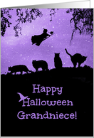 Halloween for Great Niece Cats and Witch Cute card