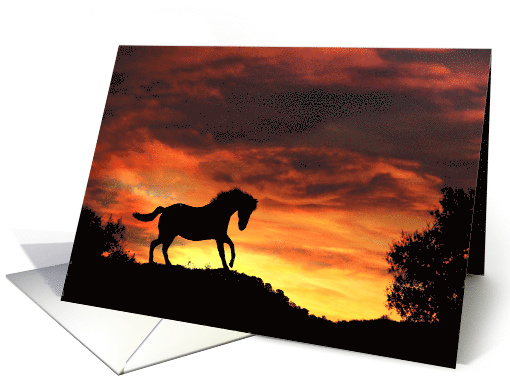 Pretty Horse with Southwestern Sunset Blank Note card (1650132)