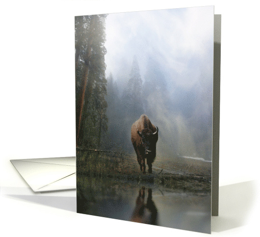 Buffalo in the Forest Reflected in the Watering Hole Blank card