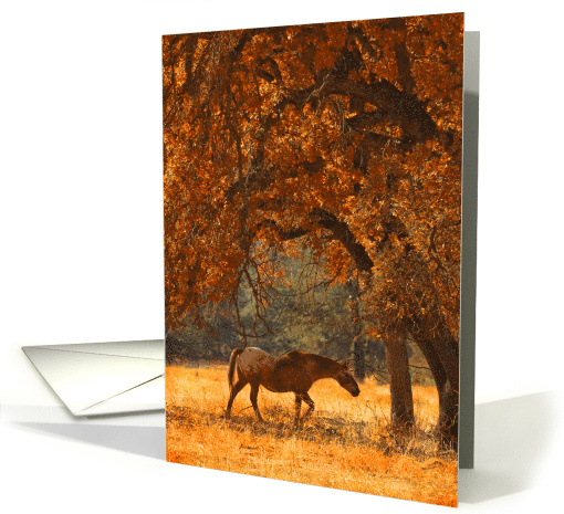 Horse in Fall Foliage Blank card (1650594)
