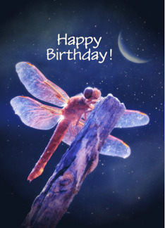 Dragonfly and Moon Customizable Happy Birthday