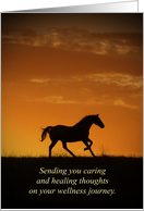 Horse Sunrise Wellness Feel Better for Cancer Patients Encouragement card