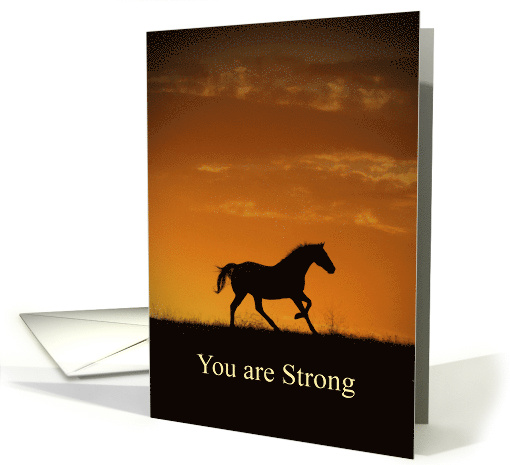 You are Strong Horse and Sunrise Encouragement card (1663082)