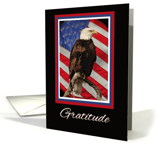 Military Thank You for Your Service with Bald Eagle and... (1663634)