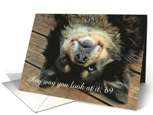 Cute Custom Cover Happy 69th Birthday Upside Down Dog card (1664056)
