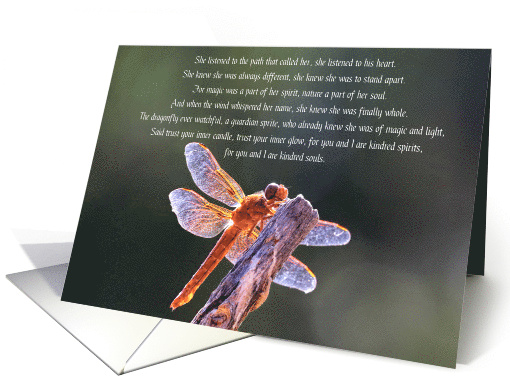 Pagan Wicca Inspired Happy Birthday with Poem Dragonfly and Moon card