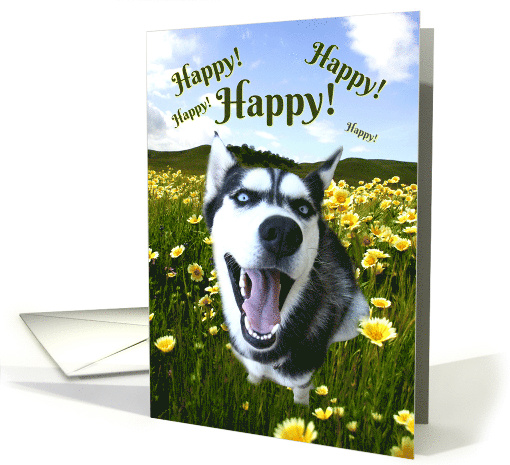 Thinking of You Makes Me Happy Cute Husky and Wild Flowers card