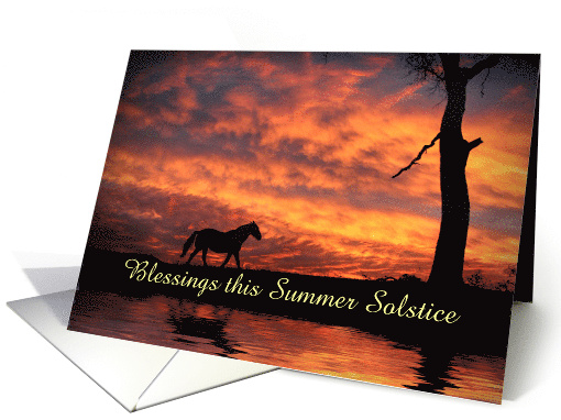 Summer Solstice Horse and Sunset Custom Cover card (1675808)