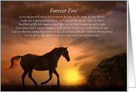 Spiritual Sympathy Tribute Memorial with Horse and Sun Poem card