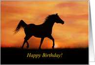 Happy Birthday Arabian Horse Trotting in Sunset Spirited card
