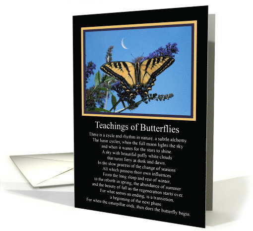 Butterfly Spiritual Sympathy Teachings of Butterflies card (1678468)