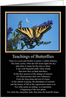 Butterfly Spiritual Sympathy Teachings of Butterflies card