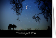 Thinking of You Horse and Moon Starry Sky with Oak Tree Custom card