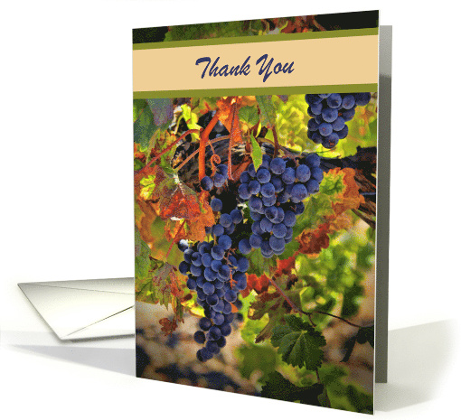 Thank You Custom Cover with Harvest Wine Grapes and Fall Vineyard card