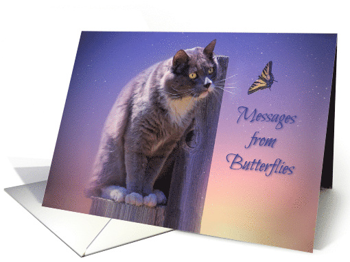 Spiritual Butterfly and Cat Sympathy Mystical From Heaven card