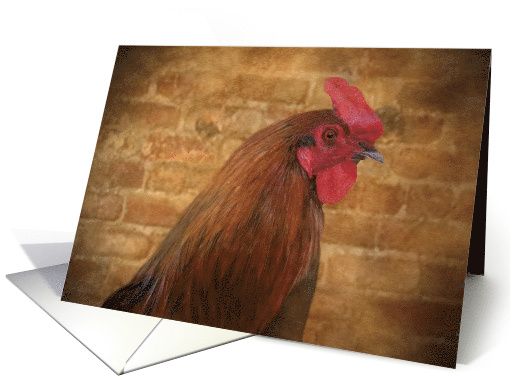 Rustic Rooster Farm Blank card (1683696)