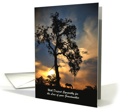 Spiritual Sympathy Oak Tree Horse Grandmother... (1686498)
